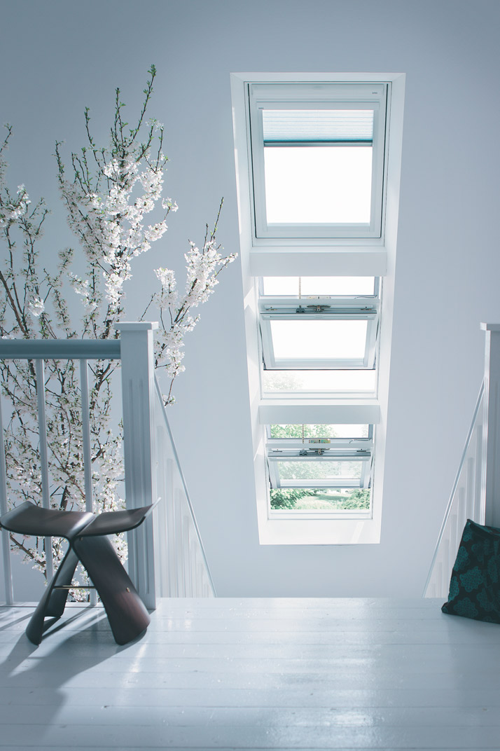 roof windows in hallway and staircase in wellington
